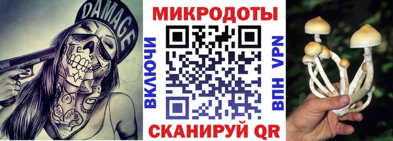 ОМГ ОМГ вход  Ветлуга  Псилоцибиновые грибы мухоморы  купить наркотики цена 